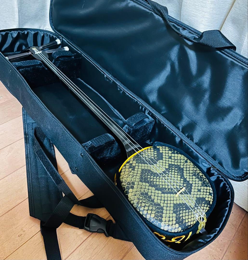 極美品⭐︎沖縄三線 人工革 入門セット　ソフトケース付 付属品 多数つきます