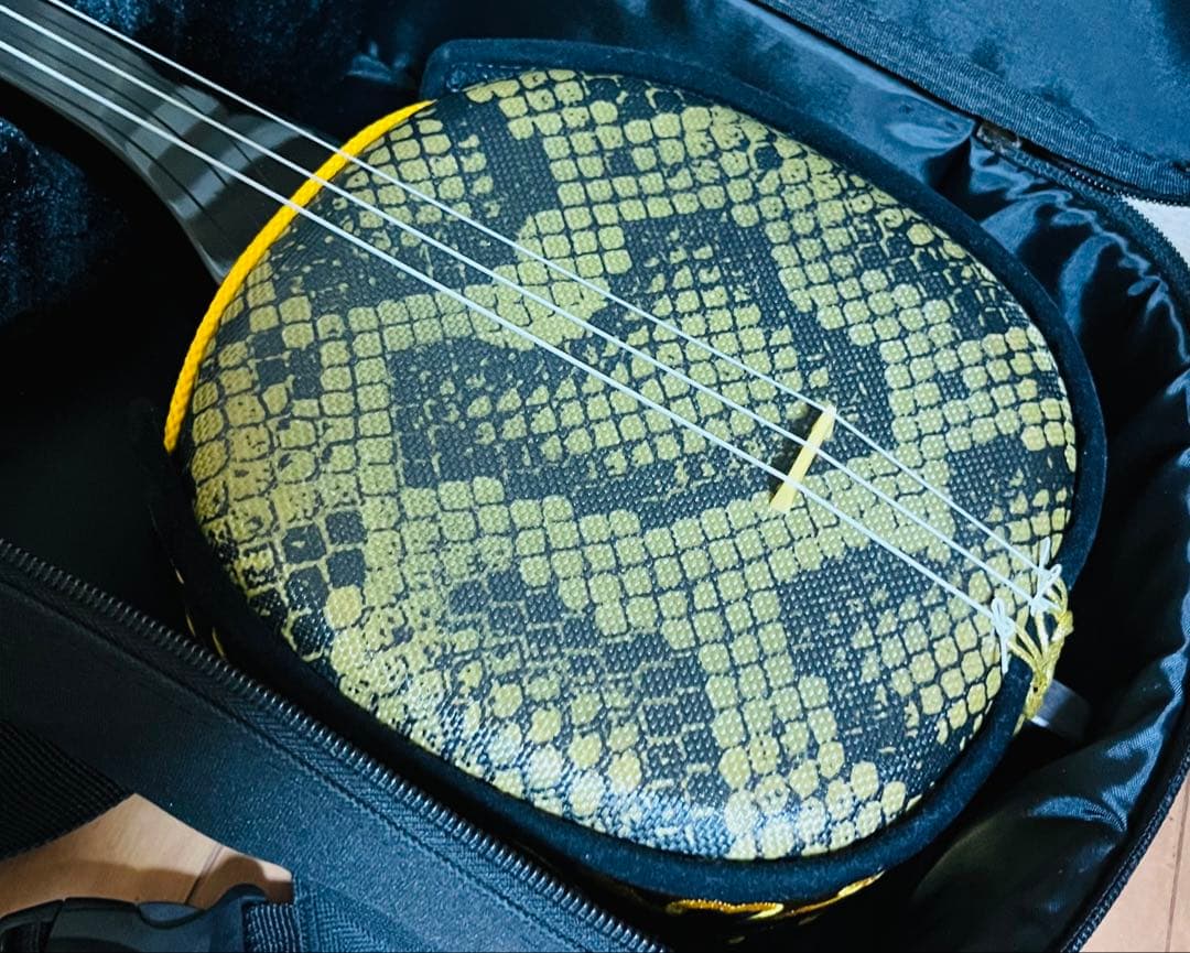 極美品⭐︎沖縄三線 人工革 入門セット　ソフトケース付 付属品 多数つきます