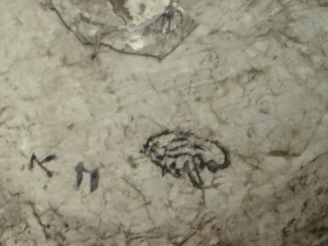 ジャンク　和楽器　小鼓　革　紐