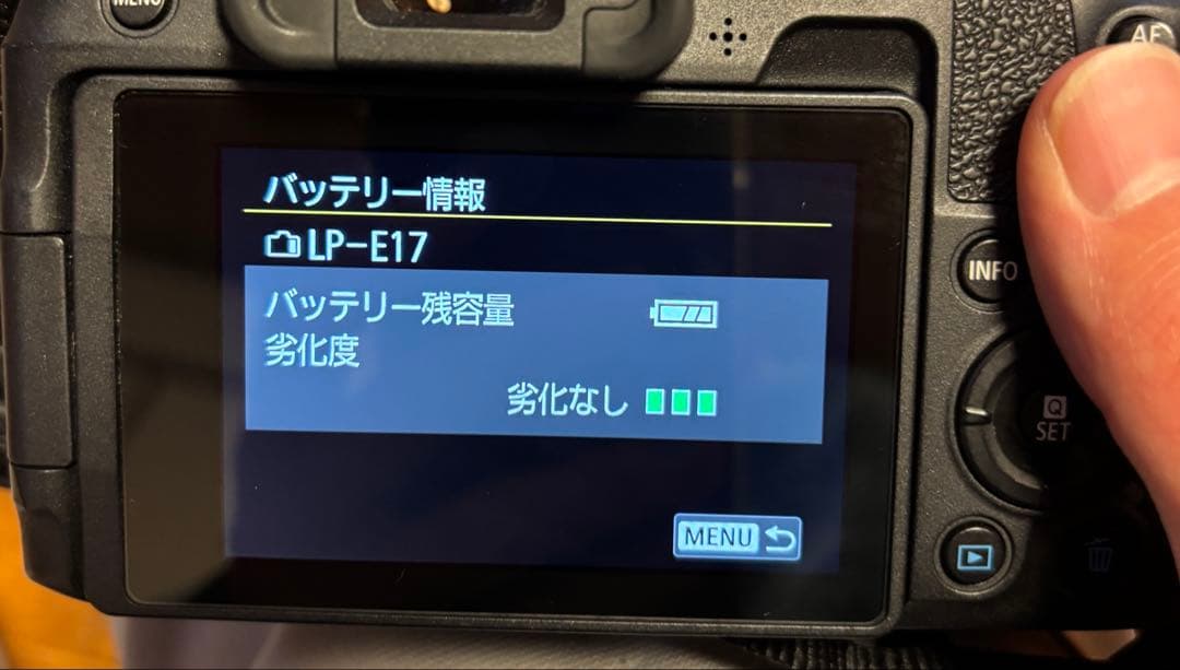 【美品】Canon EOS RP 本体と純正バッテリー2個セット