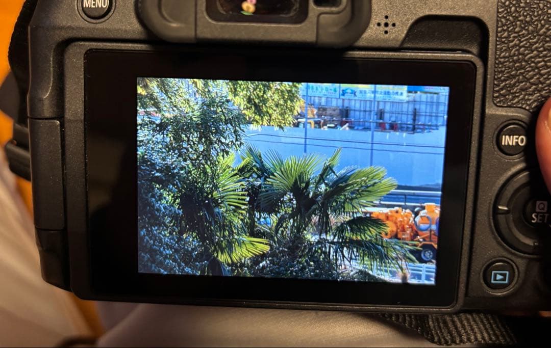 【美品】Canon EOS RP 本体と純正バッテリー2個セット