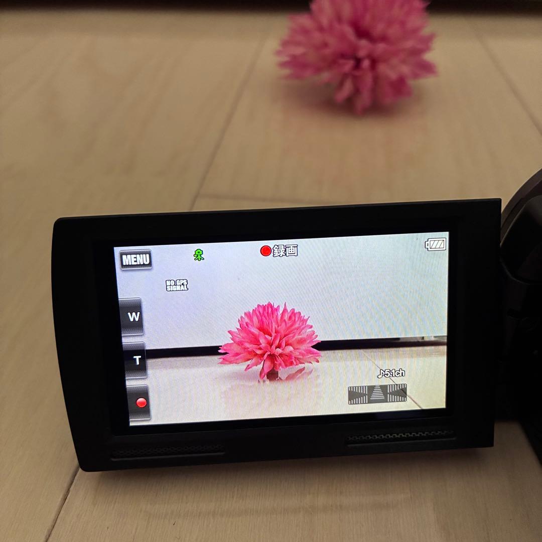 【大容量バッテリー付】SONY ソニー HDR-CX590V Handycam