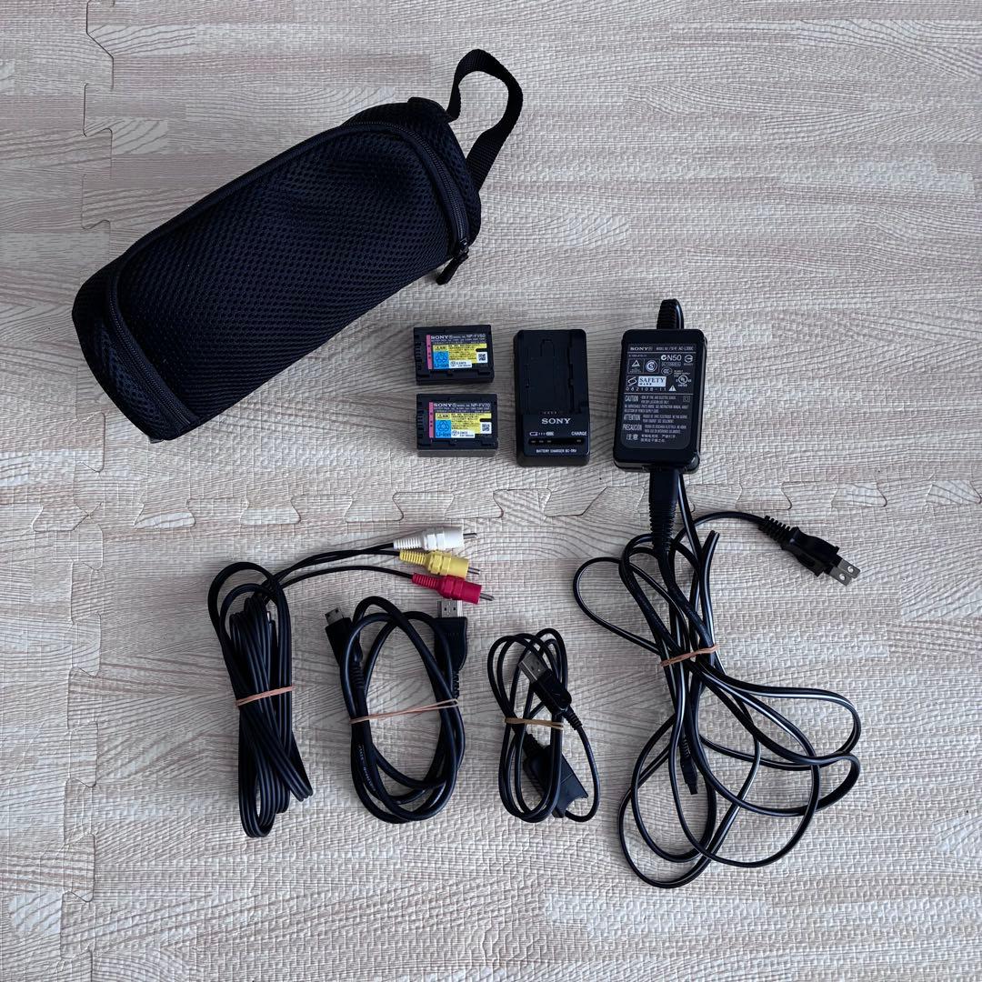 【大容量バッテリー付】SONY ソニー HDR-CX590V Handycam