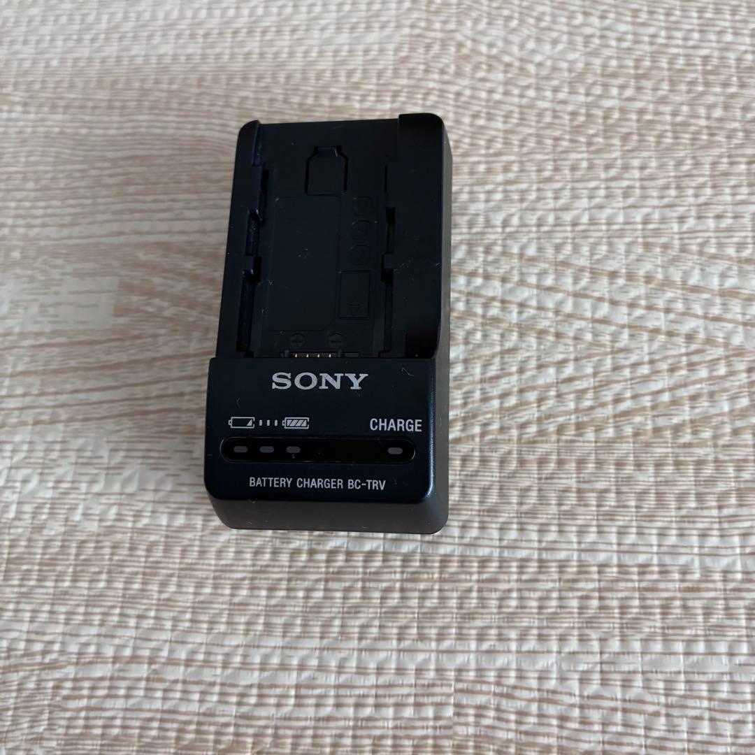 【大容量バッテリー付】SONY ソニー HDR-CX590V Handycam