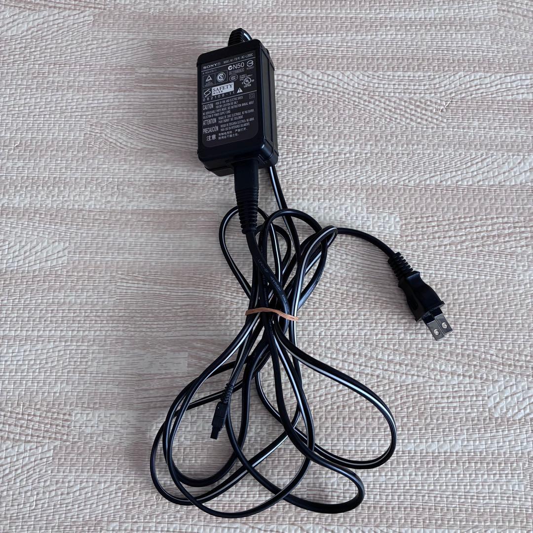 【大容量バッテリー付】SONY ソニー HDR-CX590V Handycam