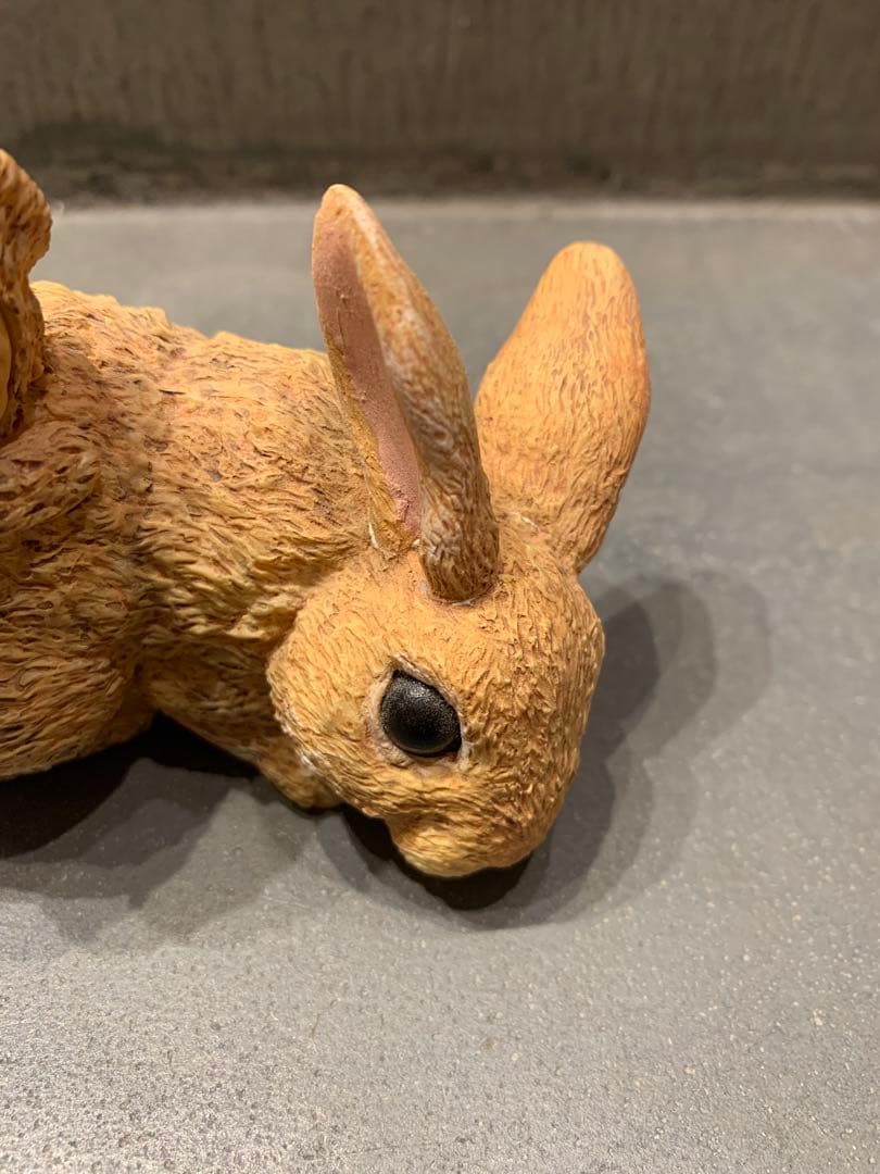 こびとづかんフィギュア 7体セット