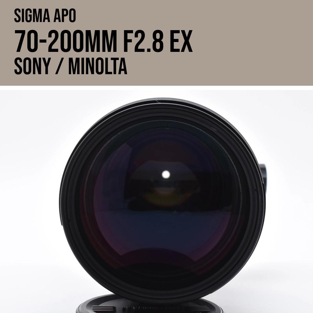 シグマ SIGMA 70-200mm F2.8 APO EX ソニーミノルタ
