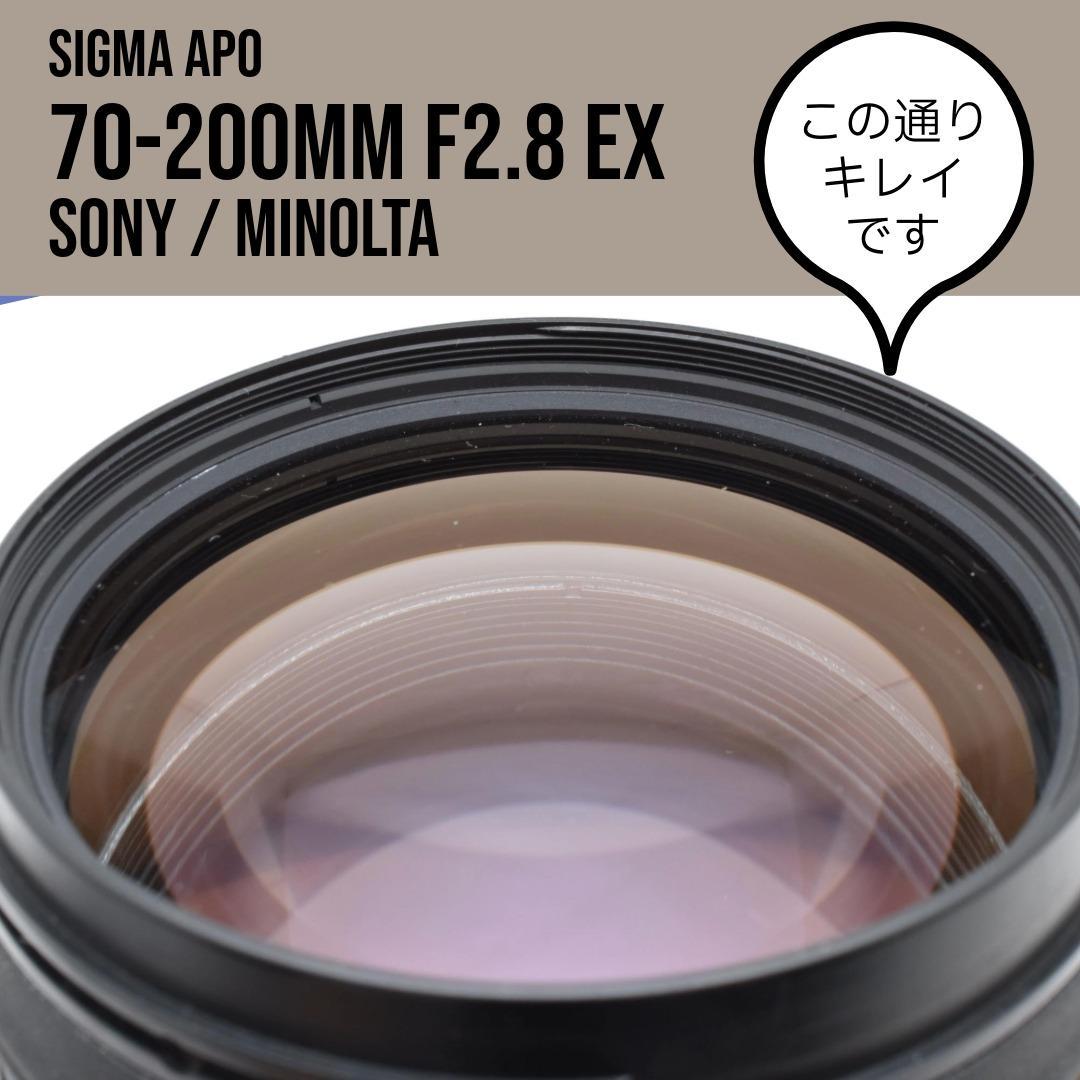 シグマ SIGMA 70-200mm F2.8 APO EX ソニーミノルタ