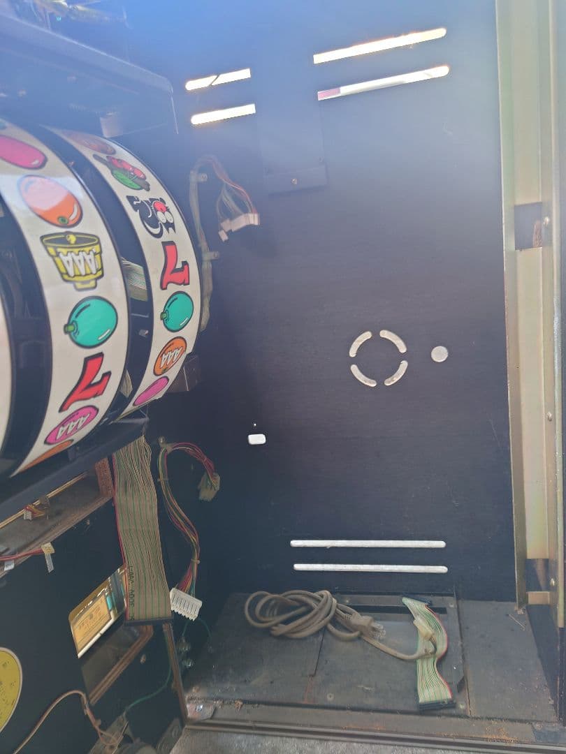 ワイルドキャッツ