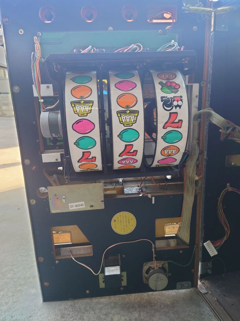 ワイルドキャッツ