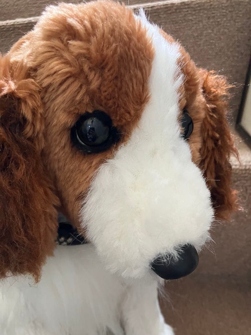 デコピンみたいなぬいぐるみ コーイケルホンディエ