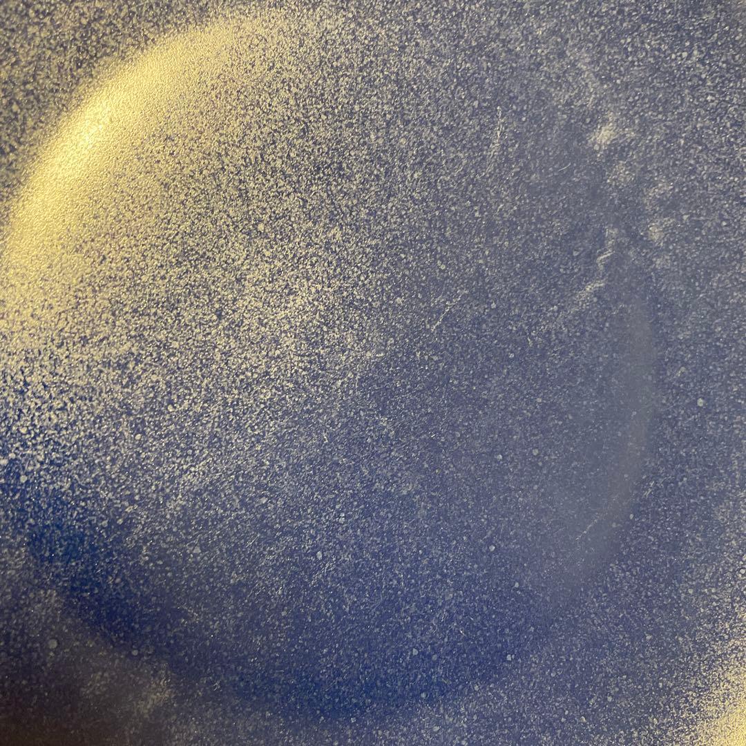 Arabia / アラビア/2枚セット 24hディナープレート