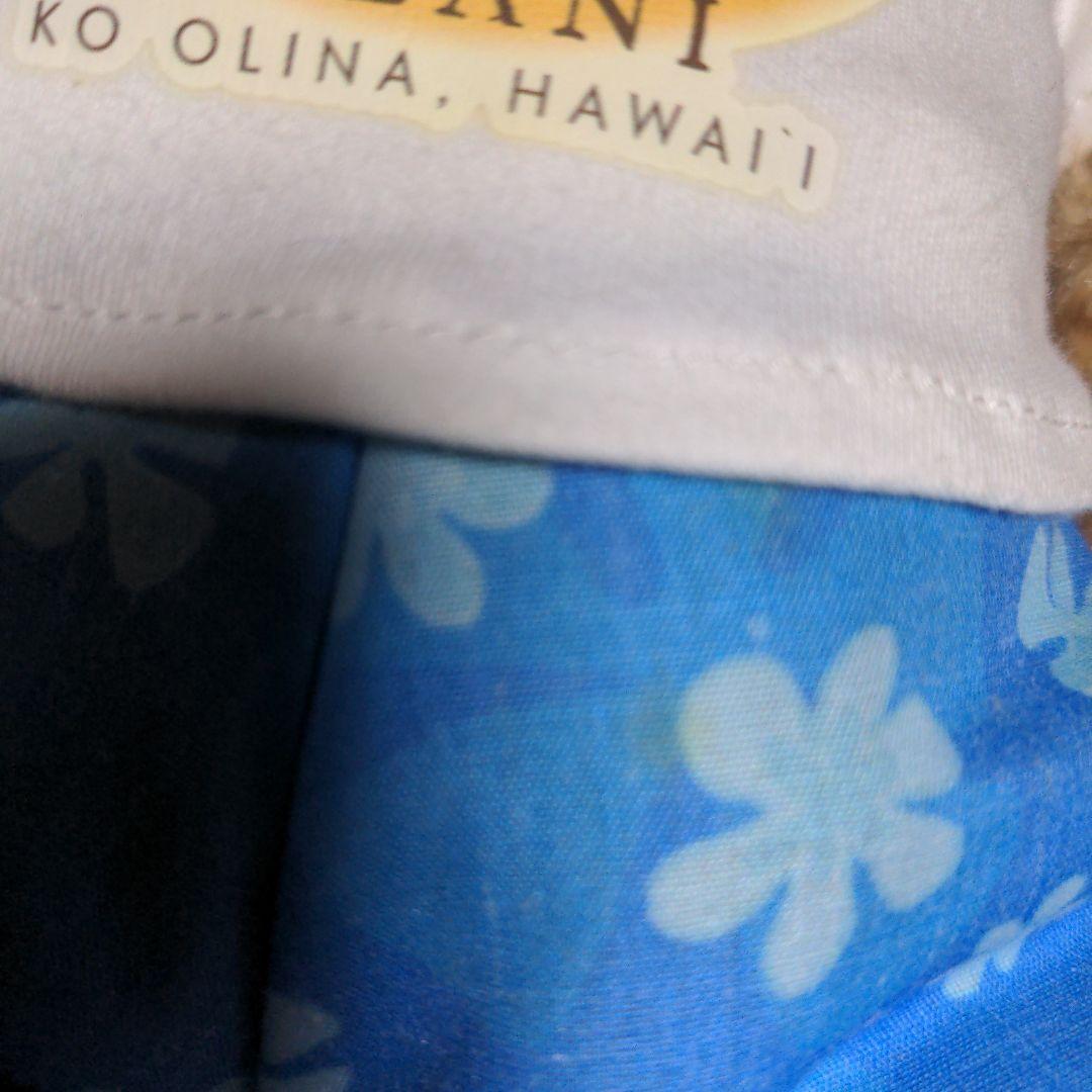 ディズニー　ダッフィー　シェリーメイ　ぬいぐるみ　ぬいば　タオル　ディズニーシー