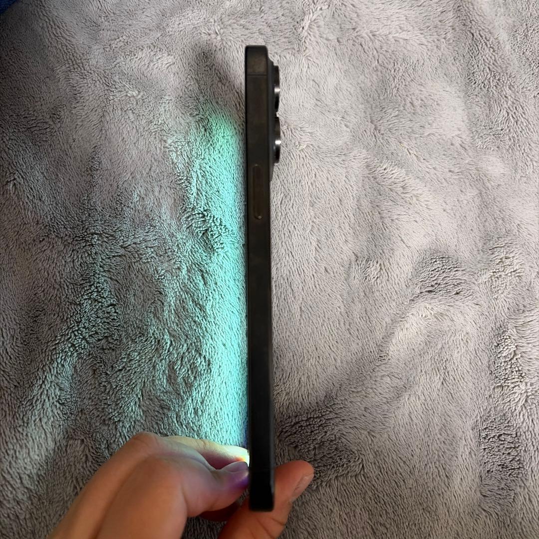 iPhone15 pro max 1TB 液晶　ジャンク