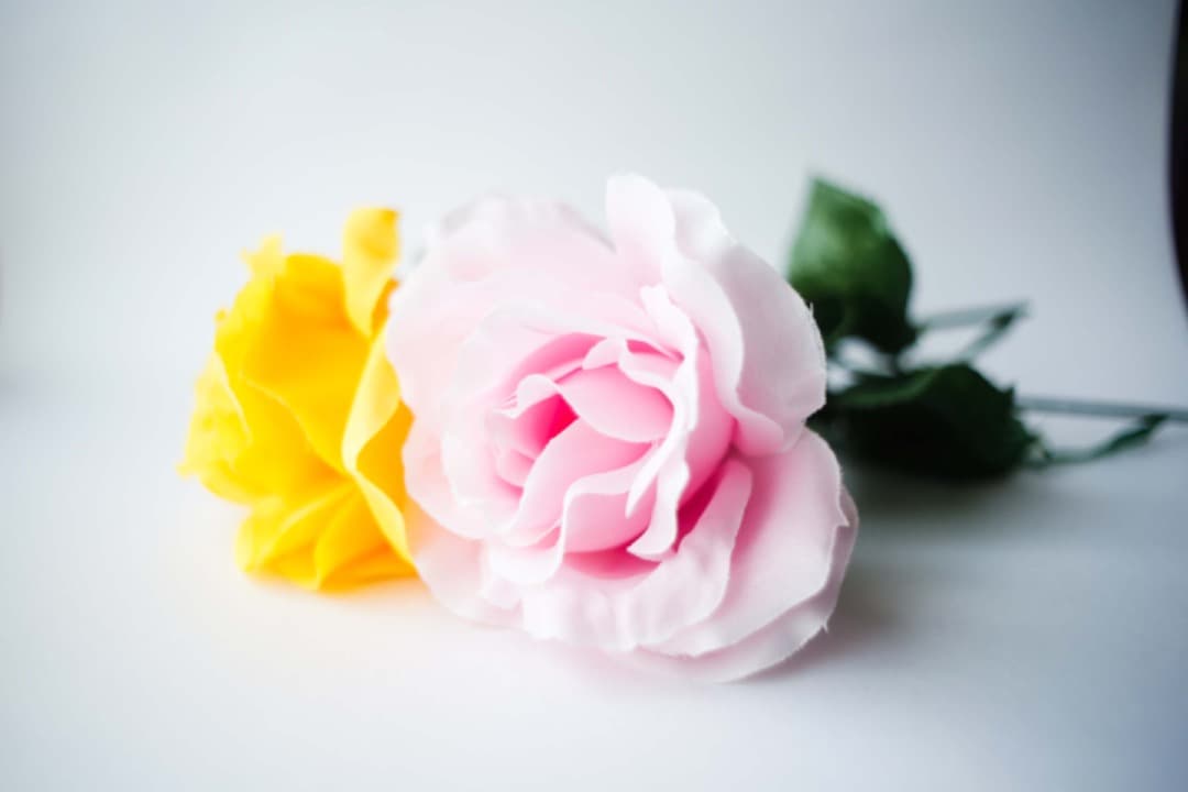 【美品】PENTACON 28mm f2.8 / M42マウント ドイツ製 ＃2