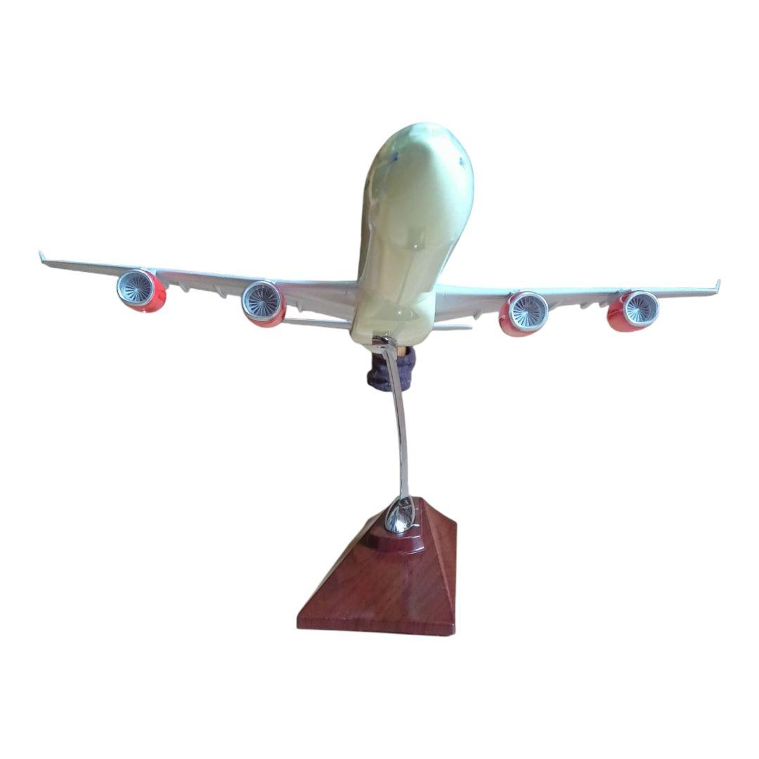値下げ　今でしょ？　SAS A340 オリジナル塗装