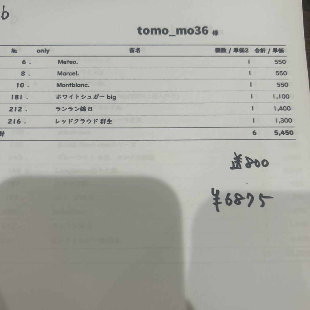 4.tomomoさん