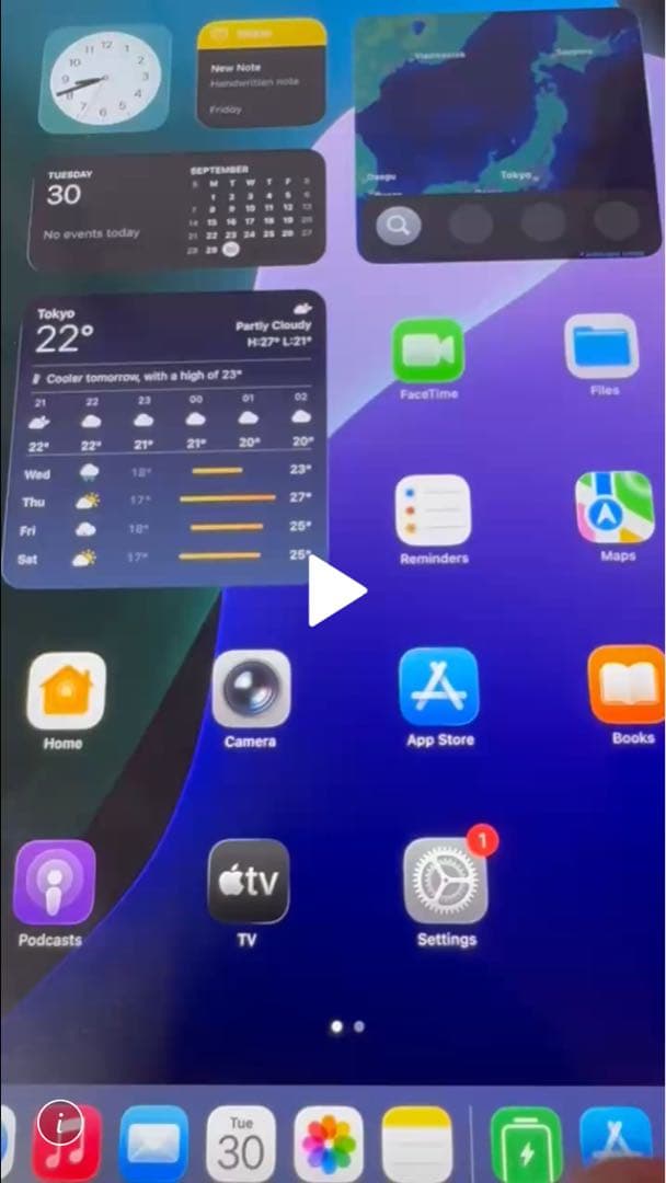 Apple iPad Pro第1世代【512GB】Wifi&Cellular