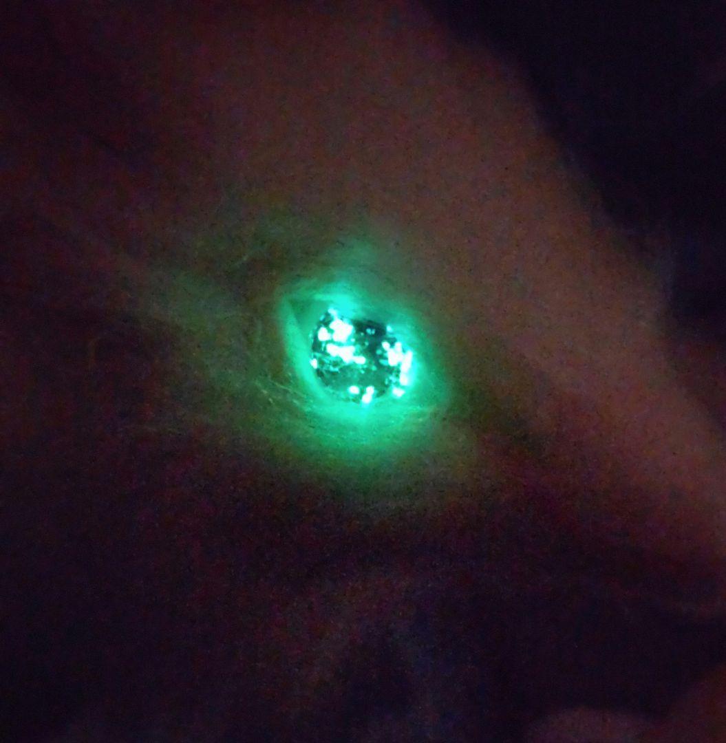 琉球ホタルガラス瞳蓄光☆双尾天龍アートドールDragonドラゴンartdoll