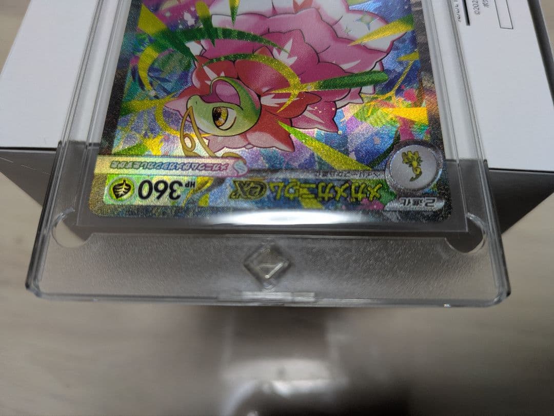 【101/100】メガメガニウムex SAR仕様