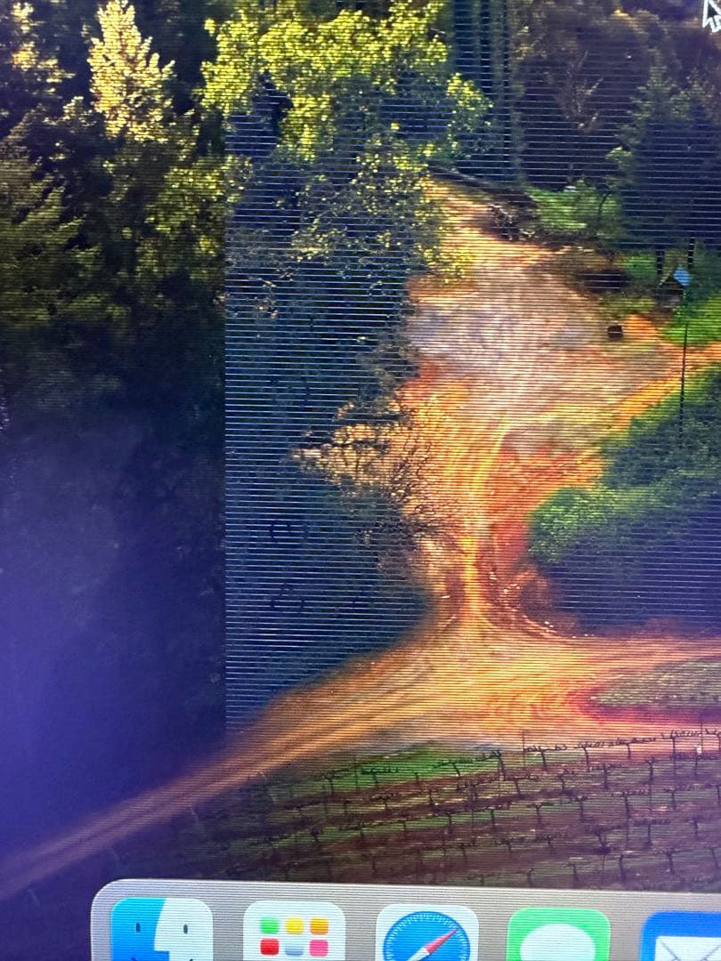 imac m1 2021 16gb 500GB 24インチ