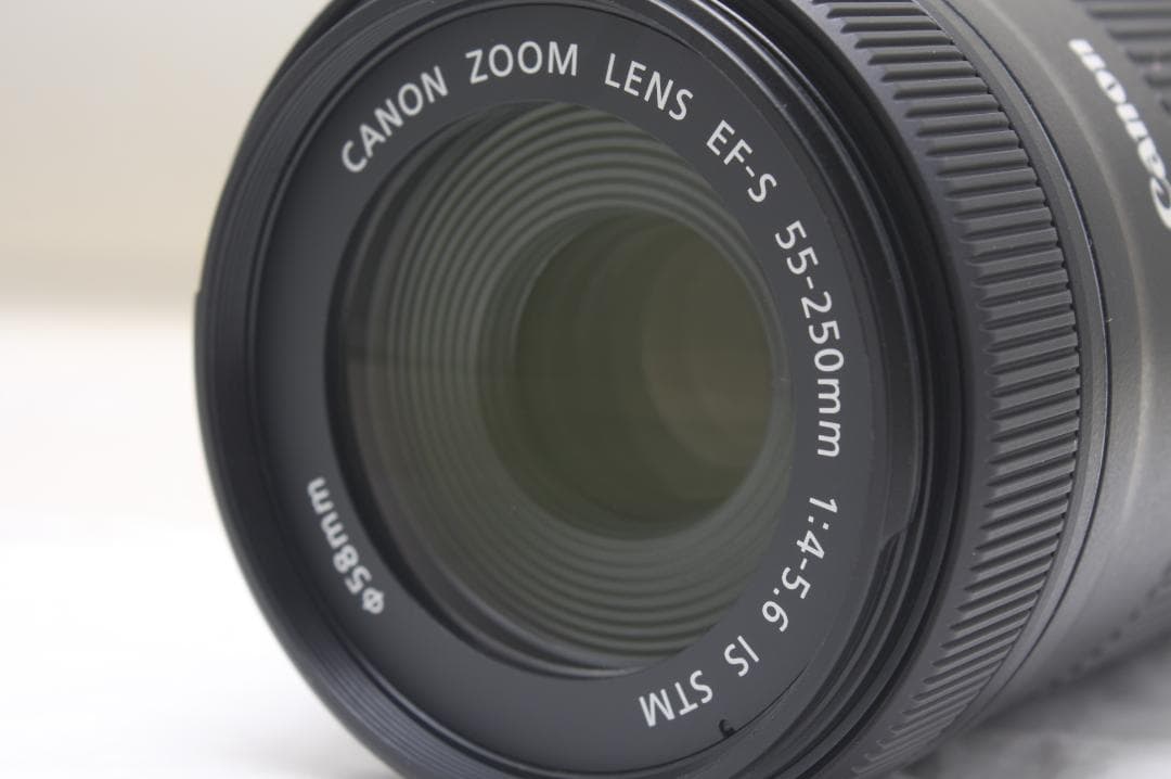 キヤノン EF-S 55-250mm F4-5.6 IS STM 0437