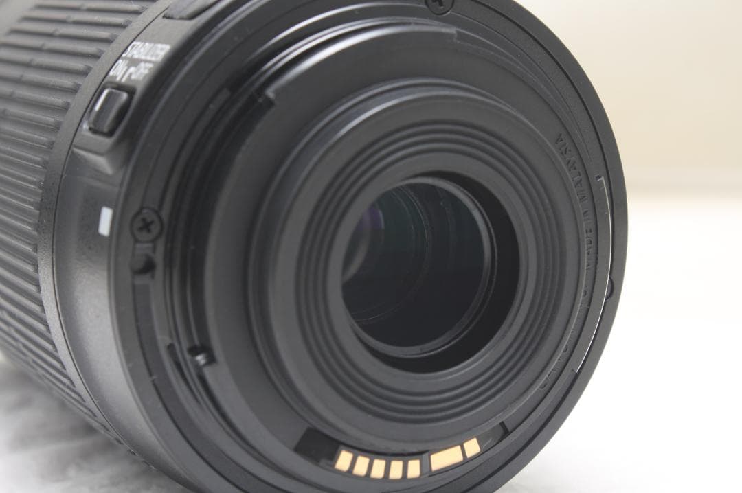 キヤノン EF-S 55-250mm F4-5.6 IS STM 0437