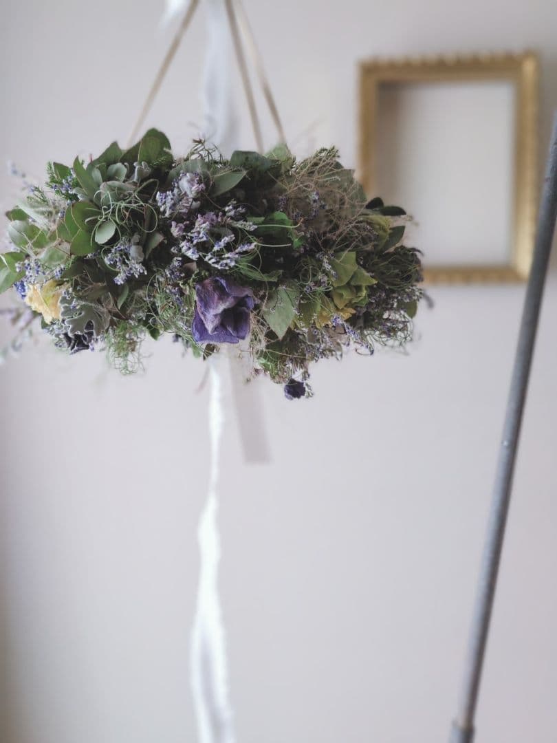 ユーカリとアネモネのフライングリース　ドライフラワーリース 【25408】