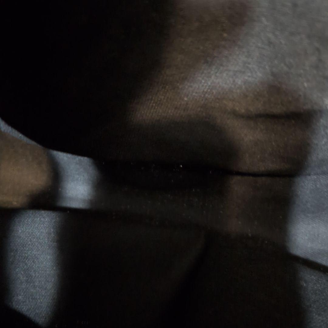 新品未使用　CHANEL ノベルティ　ロゴ入り　ショッパー　タグ付き