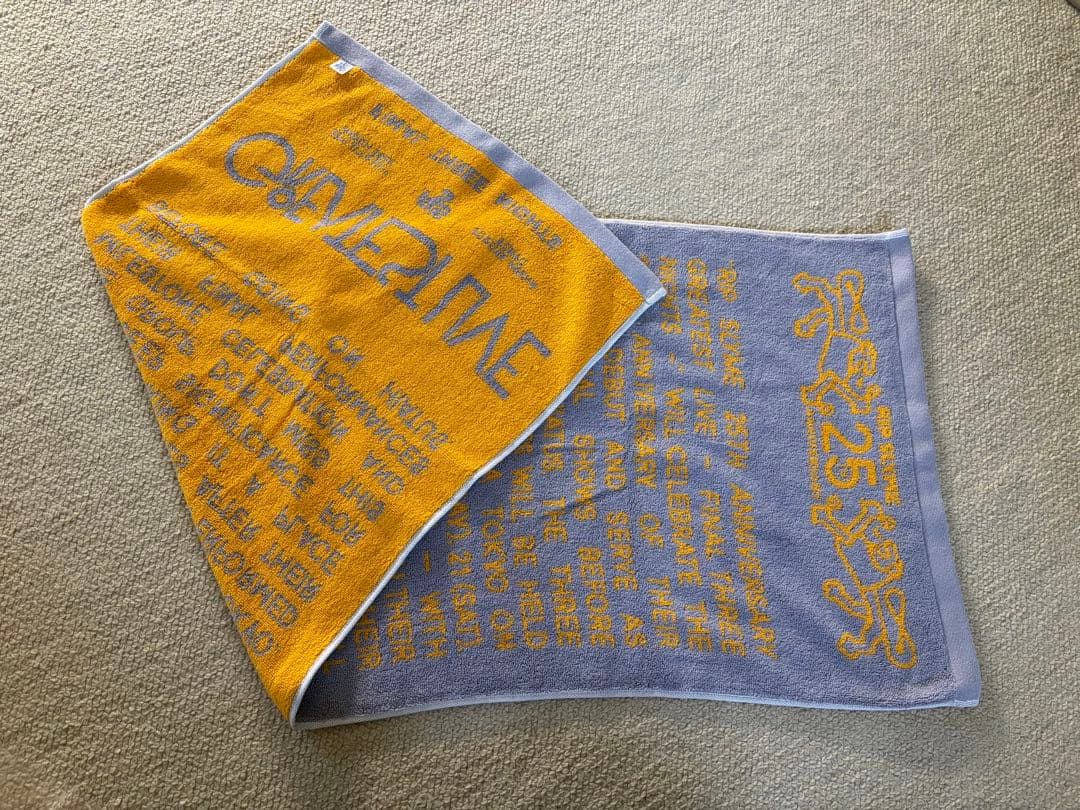 リップスライム　25周年　タオル　リストバンド