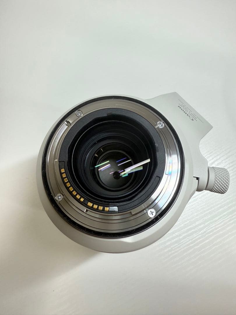 【超美品・即日発送】Canon RF 70-200mm F2.8L IS USM
