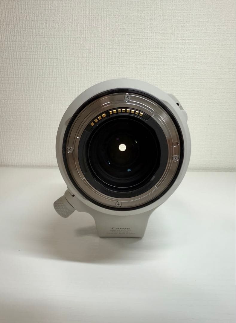 【超美品・即日発送】Canon RF 70-200mm F2.8L IS USM