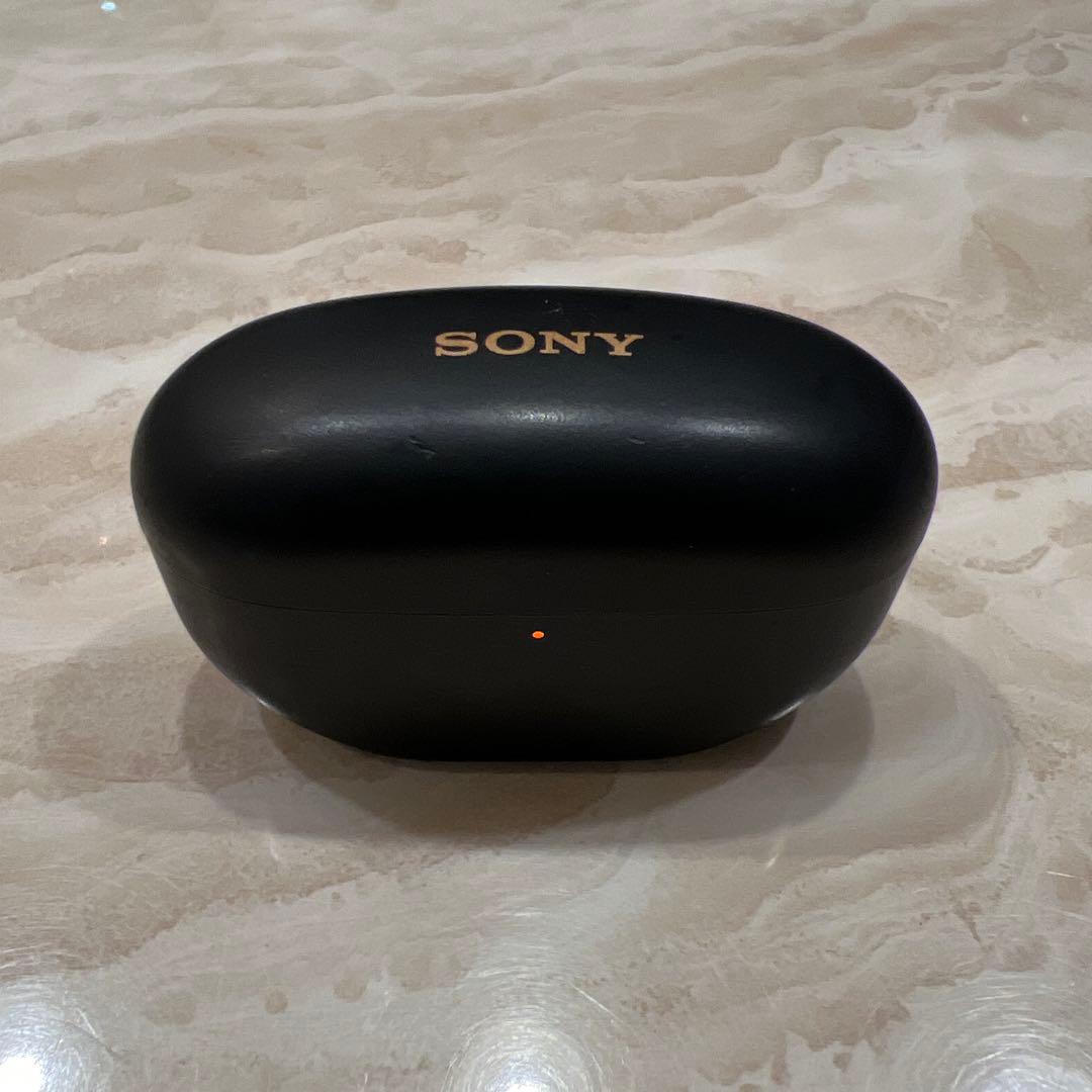 WF-1000XM5 ケース&右耳