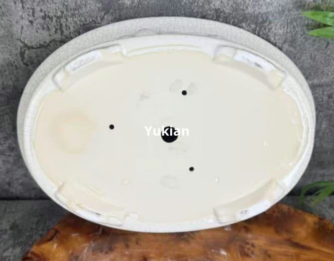 多肉植物鉢 盆栽鉢 植木鉢 小品盆栽鉢 大品盆栽鉢