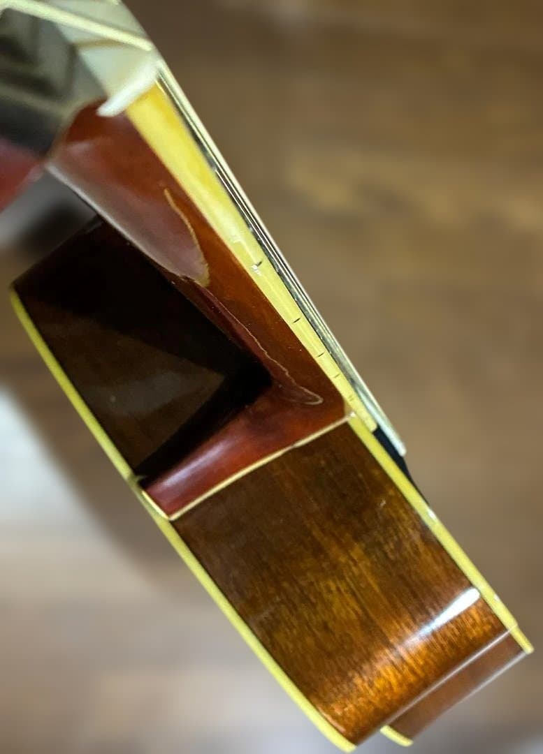 ★超激鳴り！モーリスMV701　超低弦高調整済み！試聴動画♪有り