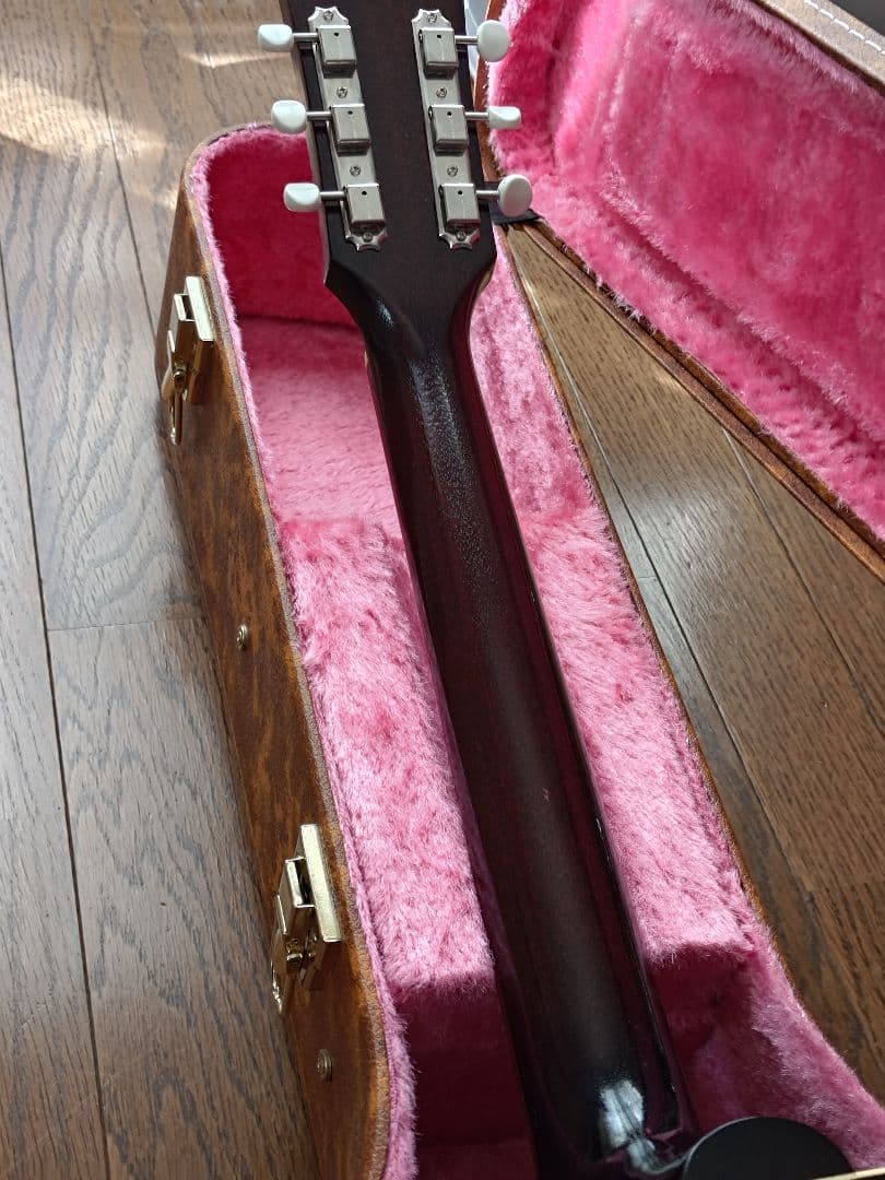 ギター Nostalgia N2 the59