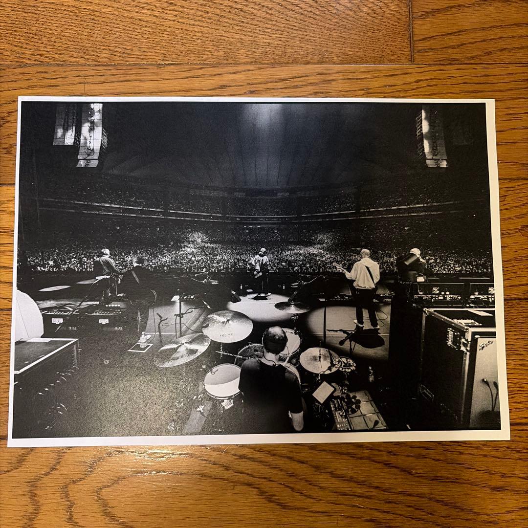 【最安値・おまけ付き】Oasis パンフレット　オアシス