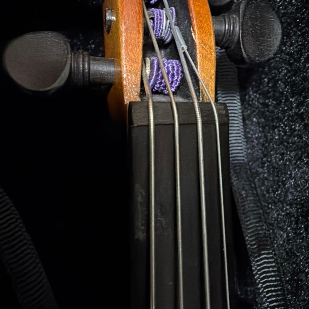 弦楽器 Reghin 1/10 violin