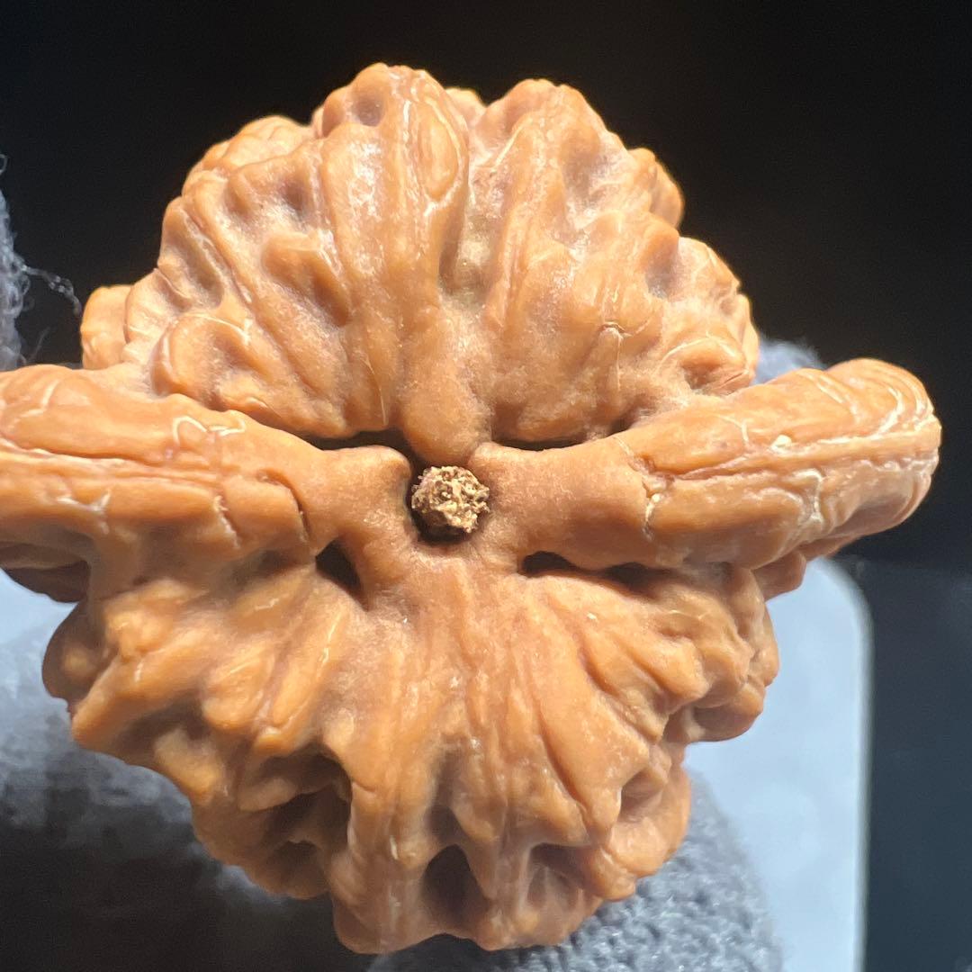 文玩堂：金公子ハイグレード文玩胡桃（48.7g）【【BOOS専用】】