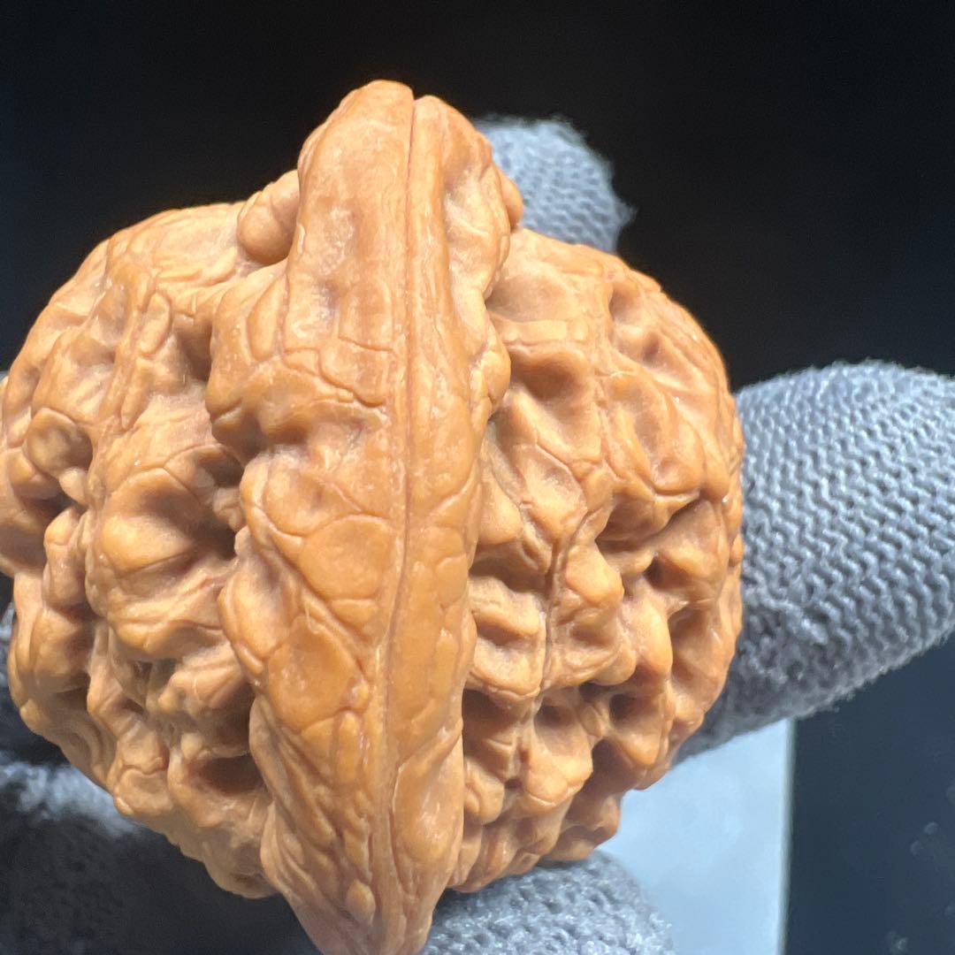 文玩堂：金公子ハイグレード文玩胡桃（48.7g）【【BOOS専用】】