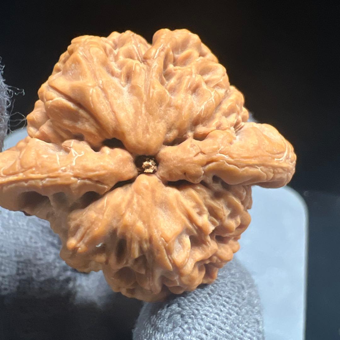 文玩堂：金公子ハイグレード文玩胡桃（48.7g）【【BOOS専用】】