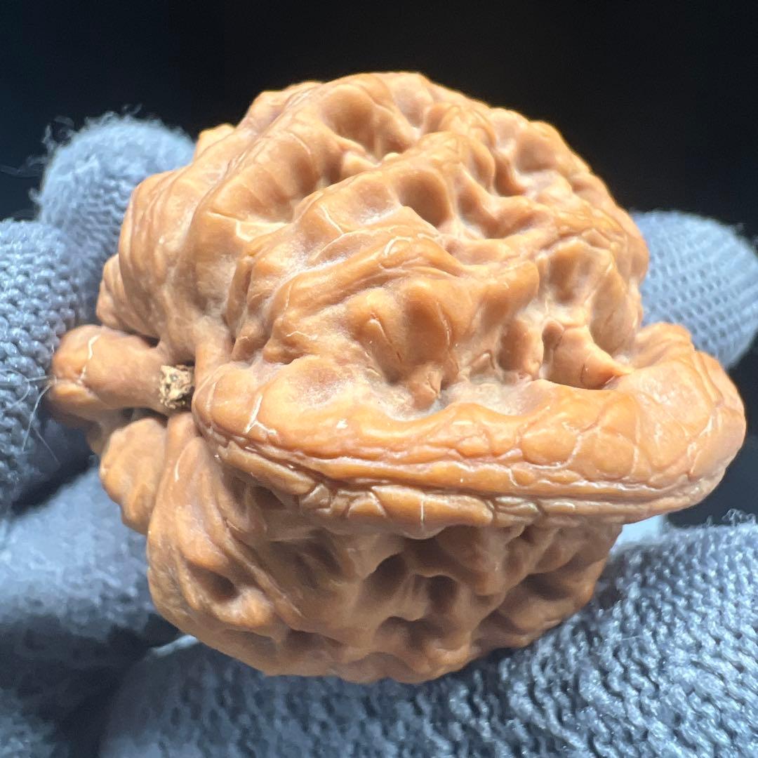 文玩堂：金公子ハイグレード文玩胡桃（48.7g）【【BOOS専用】】