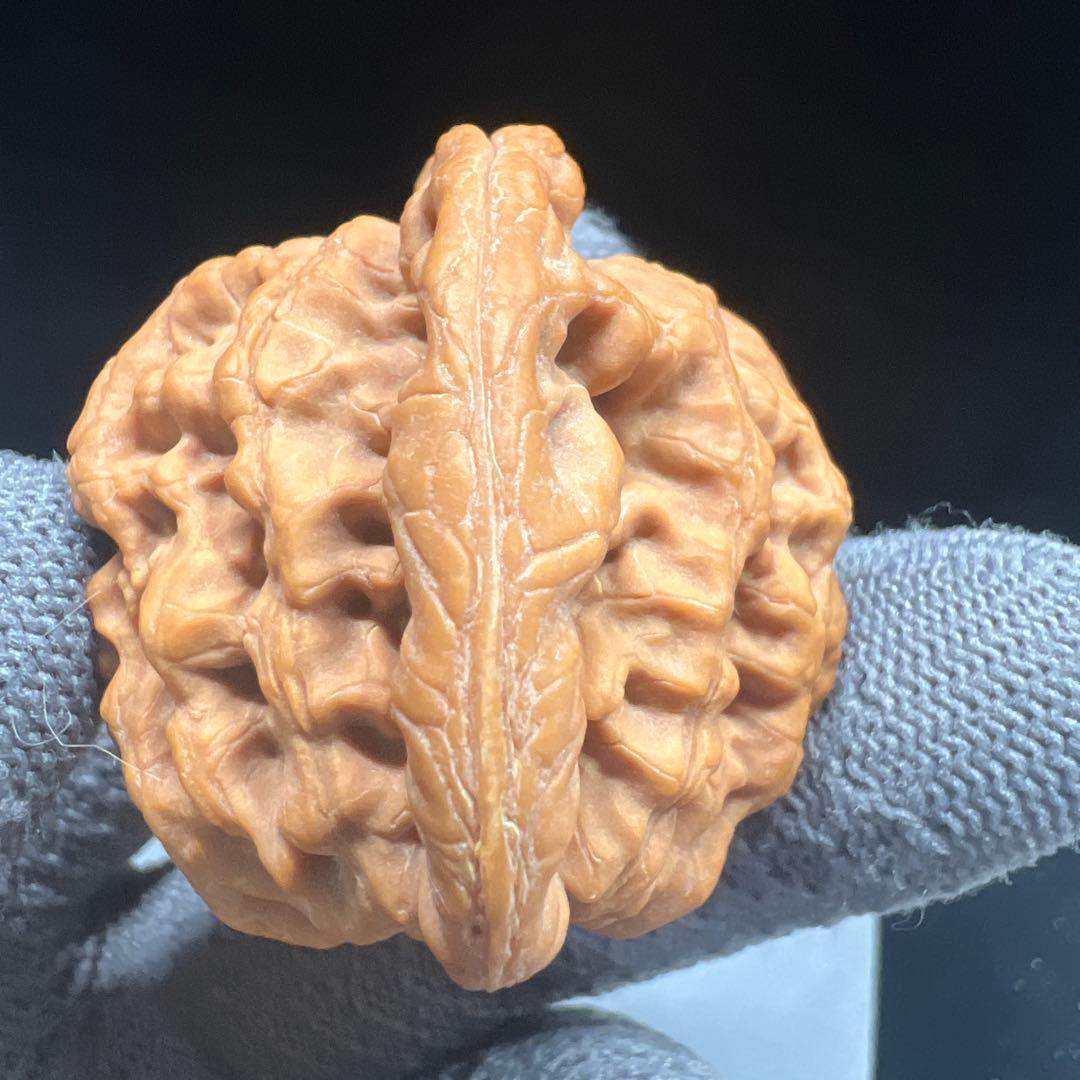 文玩堂：金公子ハイグレード文玩胡桃（48.7g）【【BOOS専用】】