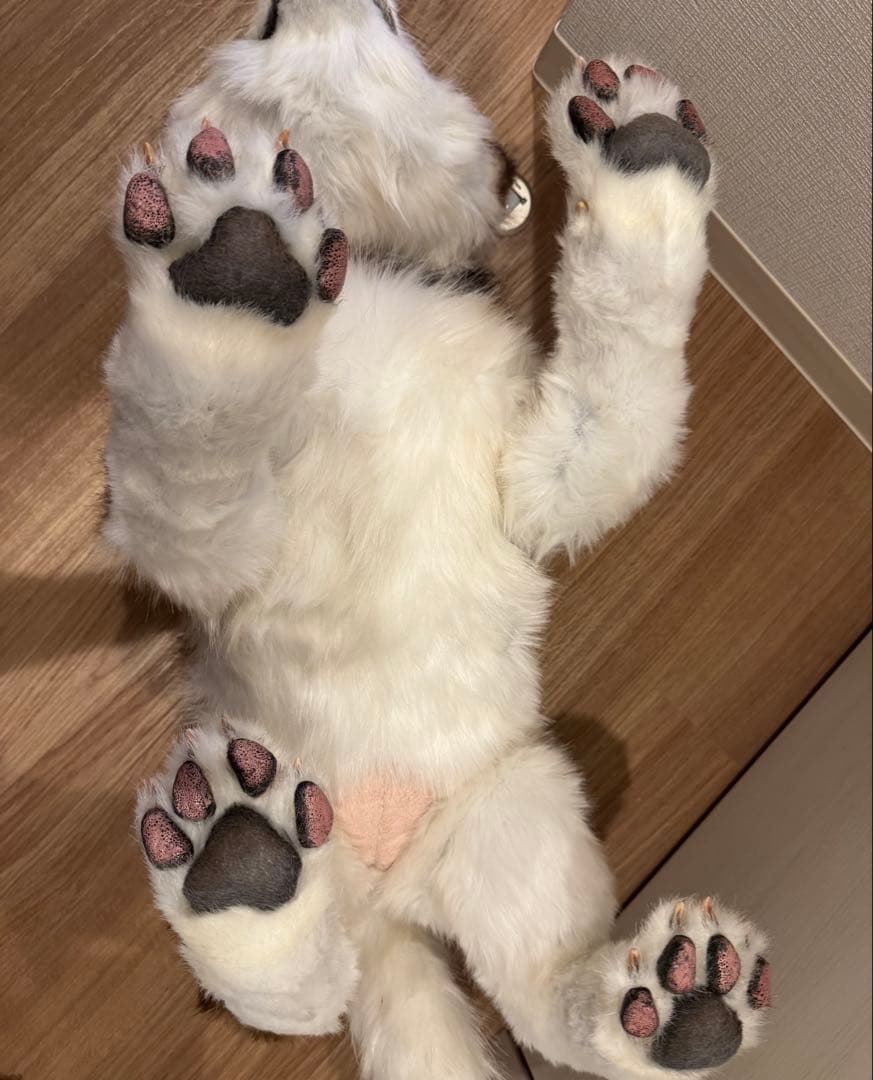 海外作家様作　アートドール　アラスカンマラミュートの子供