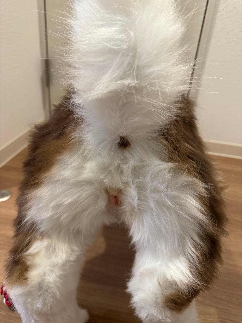 海外作家様作　アートドール　アラスカンマラミュートの子供