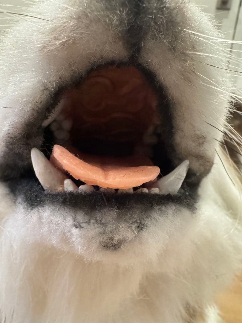 海外作家様作　アートドール　アラスカンマラミュートの子供