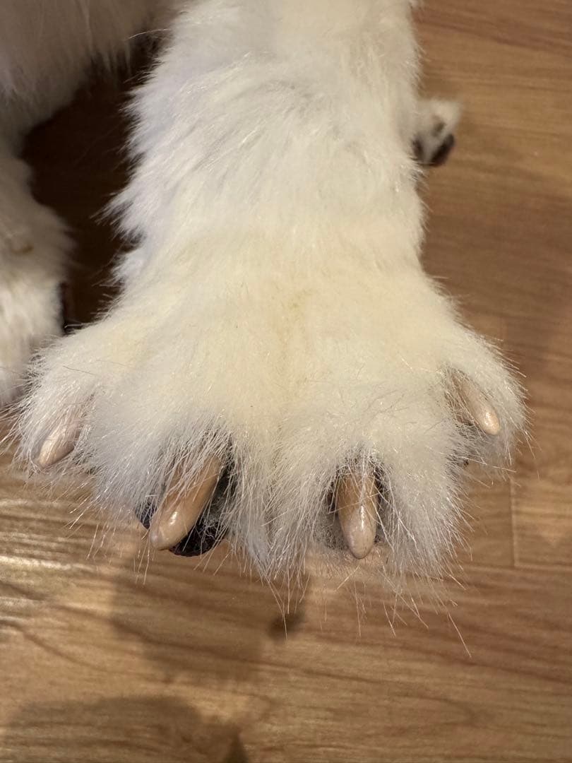 海外作家様作　アートドール　アラスカンマラミュートの子供