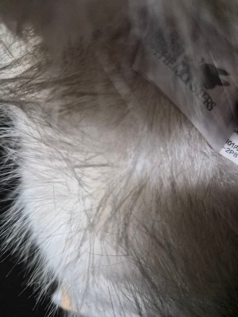 ラブブ エンジェルZIMOMO 極美品 確実正規品