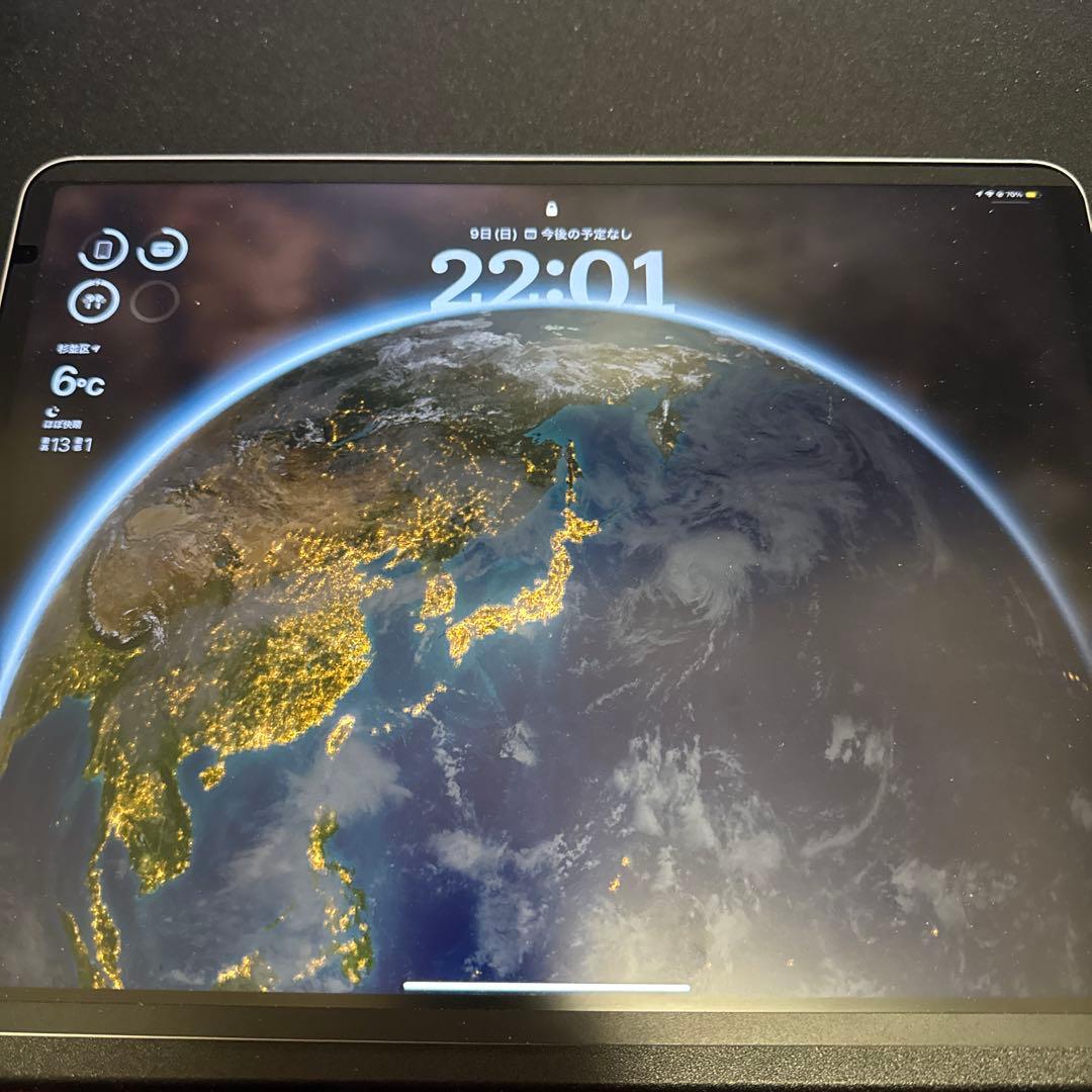 ワ*フ様 iPad pro 12.9 第5世代 SIMフリー 256GB