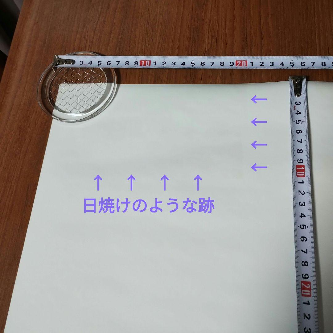 特典付き★新世紀エヴァンゲリオン★B2ポスター★3枚